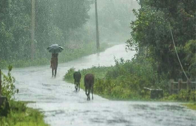 ഇന്നും നാളെയും ഒറ്റപ്പെട്ട ശക്തമായ മഴയ്ക്ക് സാധ്യത