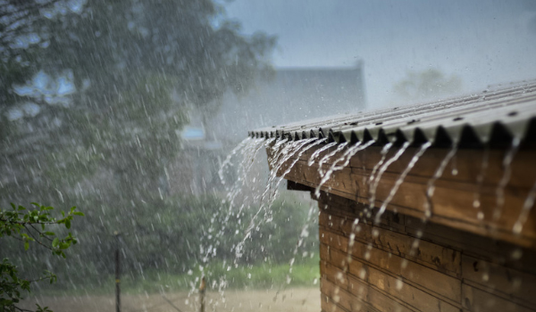 കനത്ത മഴയ്ക്ക് സാധ്യത; 12 ജില്ലകളില് യെല്ലോ അലേര്ട്ട്