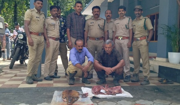 കേഴമാനിനെ വേട്ടയാടി; സഹോദരങ്ങള് പിടിയില്