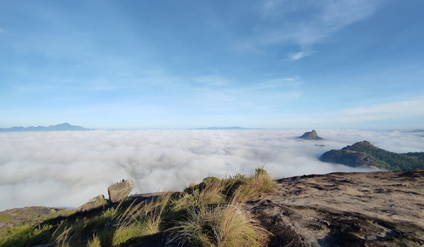 3460 അടി ഉയരത്തില്‍ നിന്ന് വയനാടിനെ കണ്ടാസ്വദിക്കാന്‍ ഒരിടമുണ്ട് ജില്ലയില്‍.