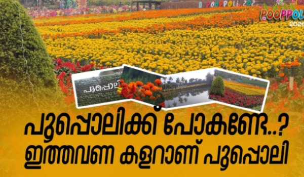 പൂപ്പൊലി പുഷ്പ മേള ഇന്ന് മുതല്‍