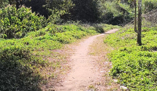 പ്രളയത്തില്‍ തകര്‍ന്ന് റോഡ് നന്നാക്കാത്തത് ഉന്നതിവാസികള്‍ക്ക് ദുരിതമാകുന്നു