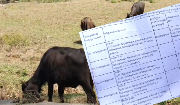 നീര്‍ത്തട വികസന പദ്ധതിപ്രകാരം പോത്തുകുട്ടികളെ വളര്‍ത്താന്‍ വാങ്ങിയ ഗോത്രകുടുംബങ്ങള്‍ക്ക് ജപ്തി നോട്ടീസ്