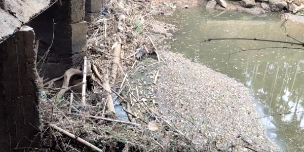 മരങ്ങളും മാലിന്യങ്ങളും അടിഞ്ഞുകൂടി പുഴ ഗതിമാറി ഒഴുകുന്നു