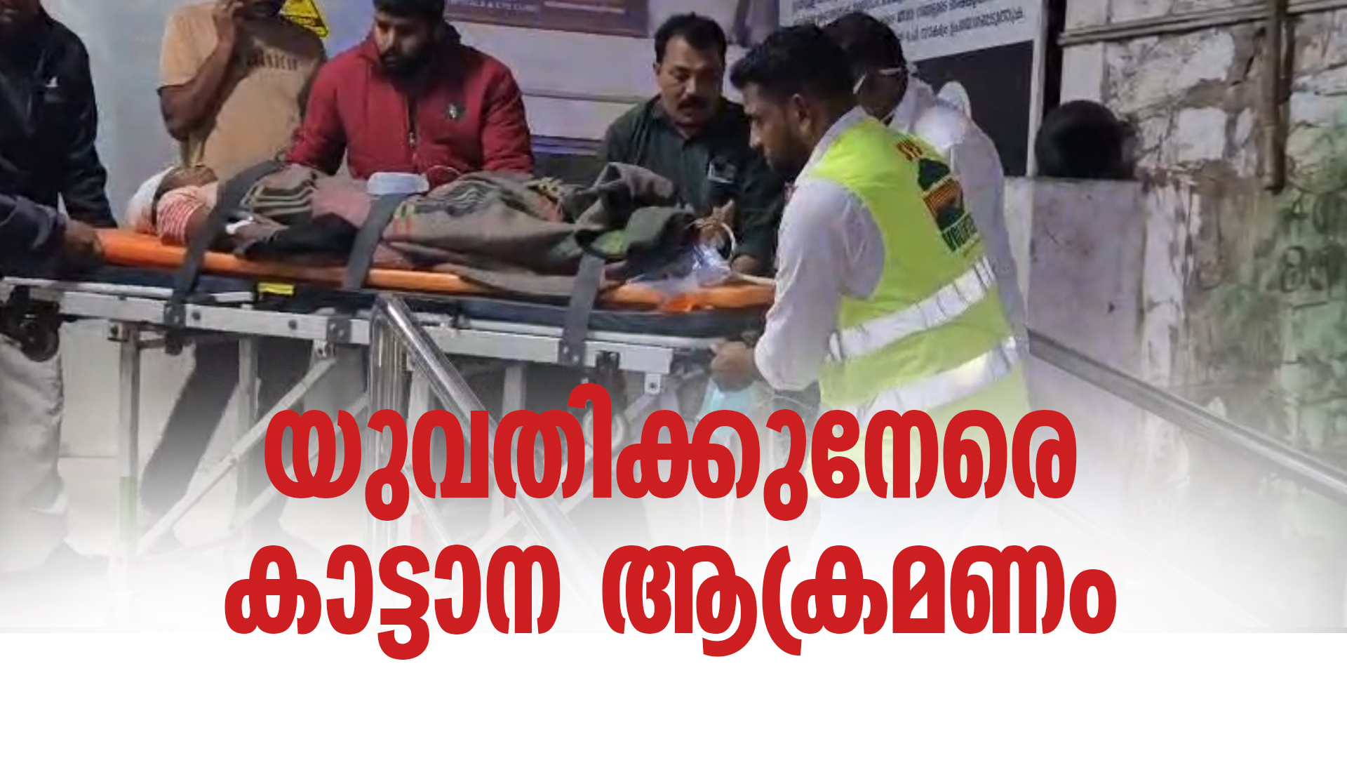 യുവതിക്കുനേരെ കാട്ടാന ആക്രമണം