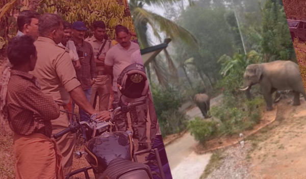 കാട്ടുകൊമ്പന്‍മാര്‍ ഒടുവില്‍ കാടുകയറി