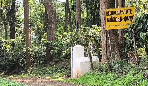 ബീനാച്ചി എസ്റ്റേറ്റ് ഏറ്റെടുക്കാനുള്ള സര്‍ക്കാര്‍ നീക്കം പ്രഖ്യാപനം മാത്രമായി ഒതുങ്ങി