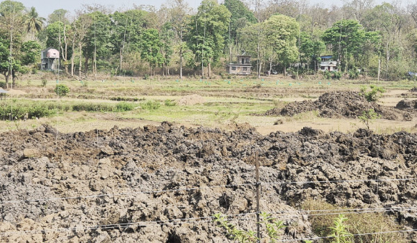 അനധികൃതമായി വയല്‍ നികത്തുന്നു എന്ന് പരാതി