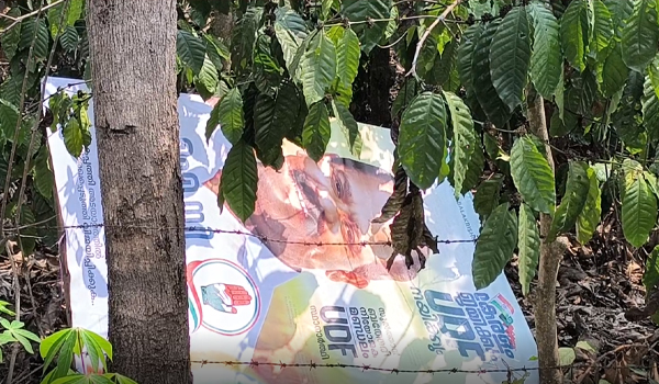 യു.ഡി.എഫ് സ്ഥാനാര്‍ത്ഥി ഐ.സി ബാലകൃഷ്ണന്റെ പ്രചരണബോര്‍ഡുകള്‍ നശിപ്പിച്ചതായി പരാതി.