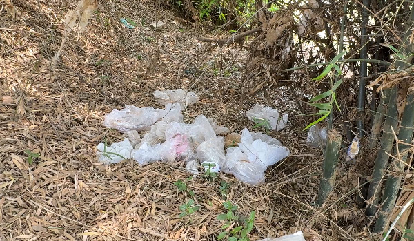 പുലിക്കാട്ടുകടവ് മേഖല സാമൂഹ്യവിരുദ്ധരുടെ താവളമാകുന്നതായി പരാതി