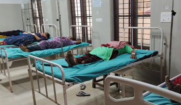 തൊഴിലാളികള്‍ക്ക് നേരെ തേനീച്ചാക്രമണം