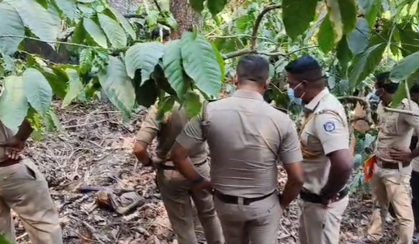 കാപ്പിത്തോട്ടത്തില്‍ ജീര്‍ണിച്ച നിലയില്‍ മൃതദേഹം