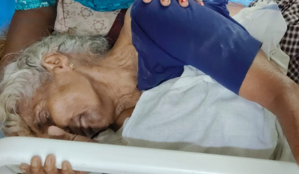 കാട്ടാന ആക്രമണത്തില്‍ വയോധികക്ക് ഗുരുതര പരിക്ക്