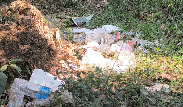 മാലിന്യനിക്ഷേപ കേന്ദ്രമായി ദേശീയപാതയോരം