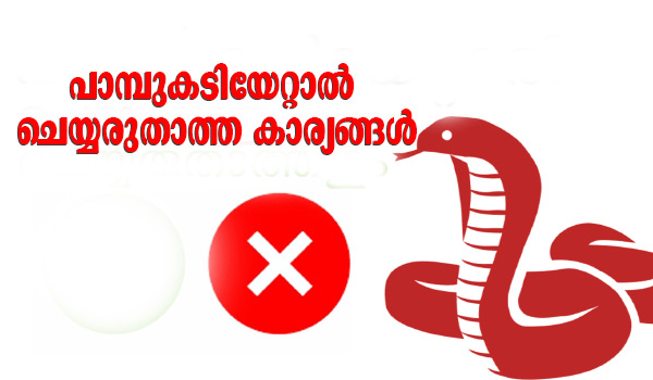 പാമ്പുകടിയേറ്റാൽ ചെയ്യരുതാത്ത കാര്യങ്ങൾ