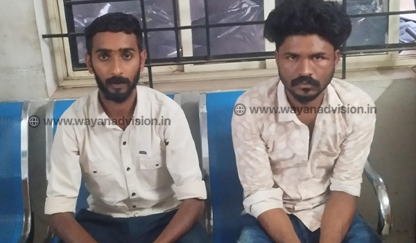 വയനാട്ടിൽ പ്രായപൂർത്തിയാവാത്ത പെൺകുട്ടിയെ കൂട്ടബലാത്സംഗത്തിനിരയാക്കി. പീഢനം മദ്യം നൽകിയ ശേഷം. രണ്ട് പേർ പൊലീസ് പിടിയിൽ