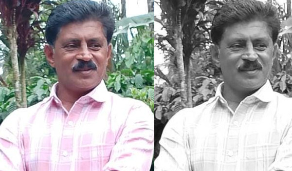 കടന്നൽ കുത്തേറ്റ് മരിച്ചു